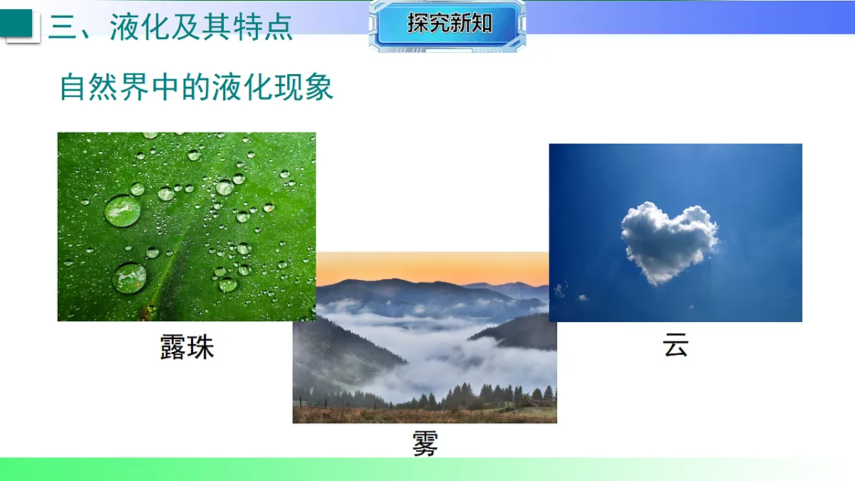 17769276第8页