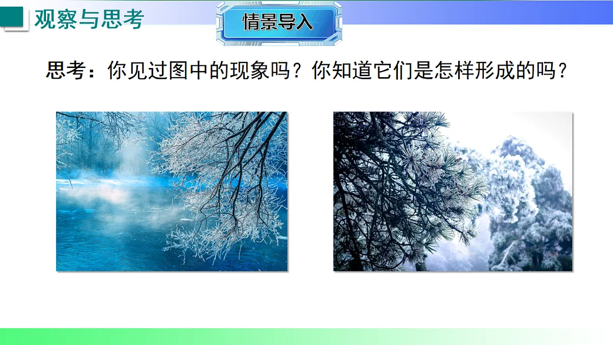 17769277第3页
