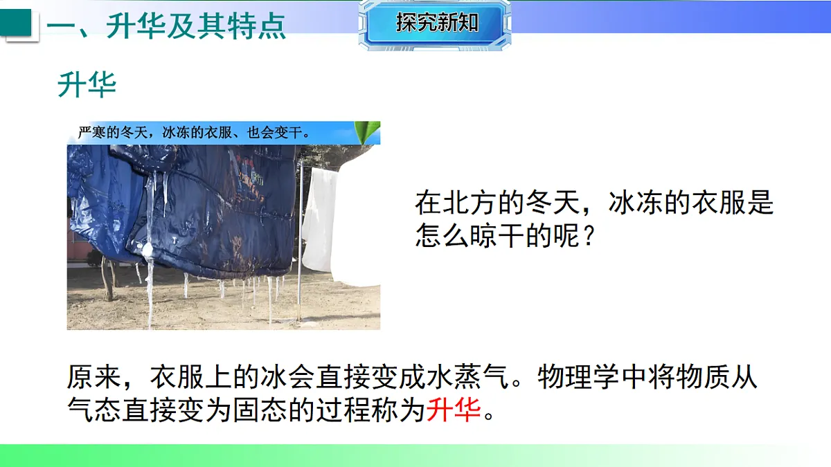 17769277第4页