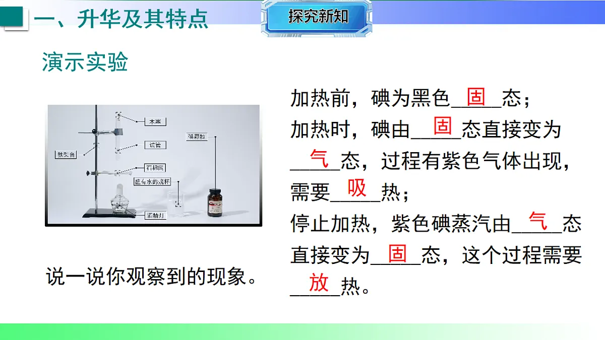 17769277第5页