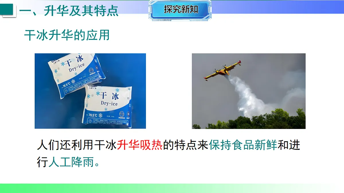 17769277第7页