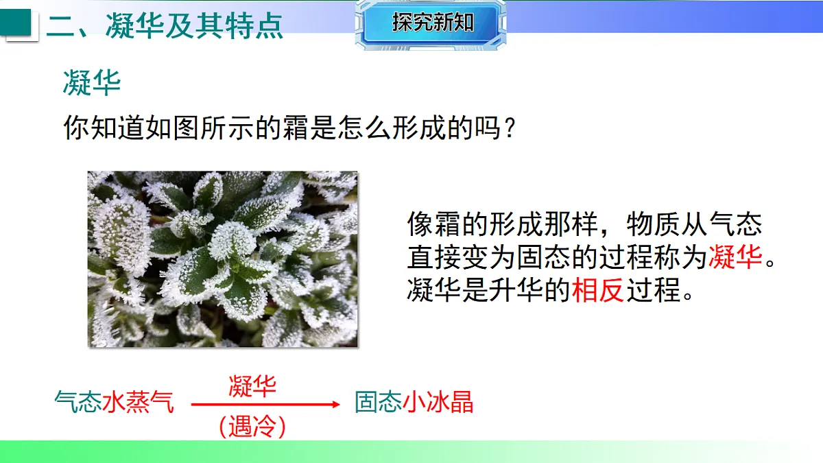 17769277第8页