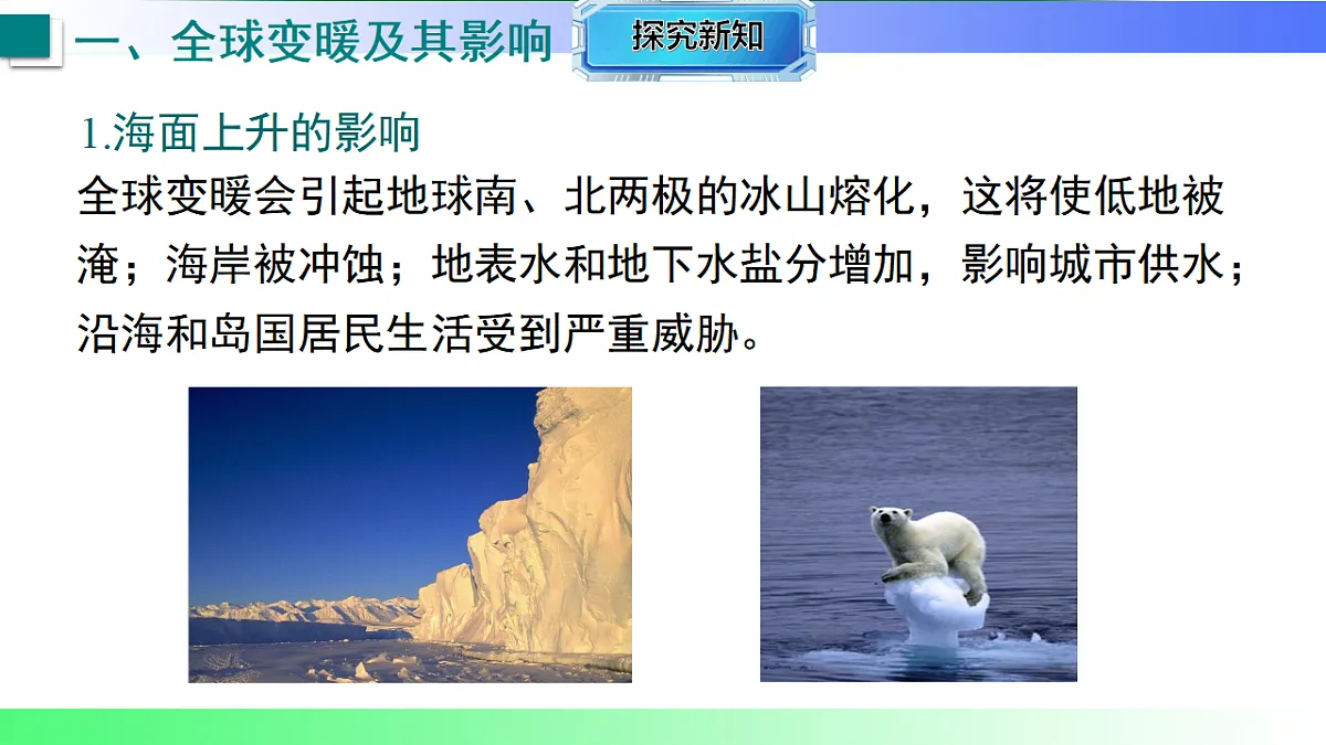 17769278第5页