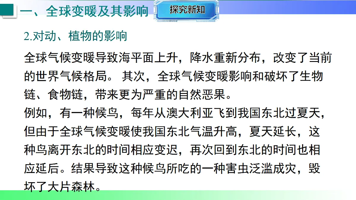 17769278第6页