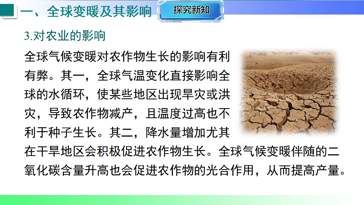 17769278第7页
