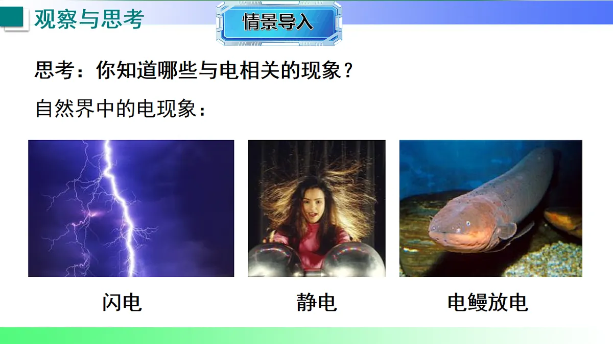 17769284第3页