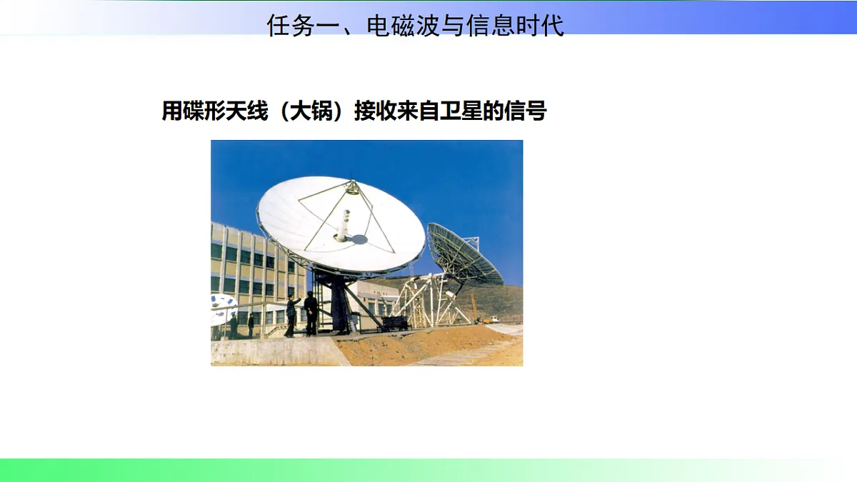 17769307第5页