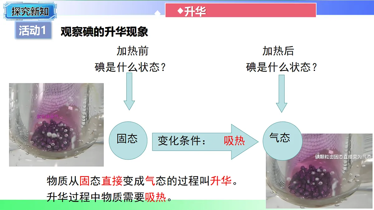 17769333第6页