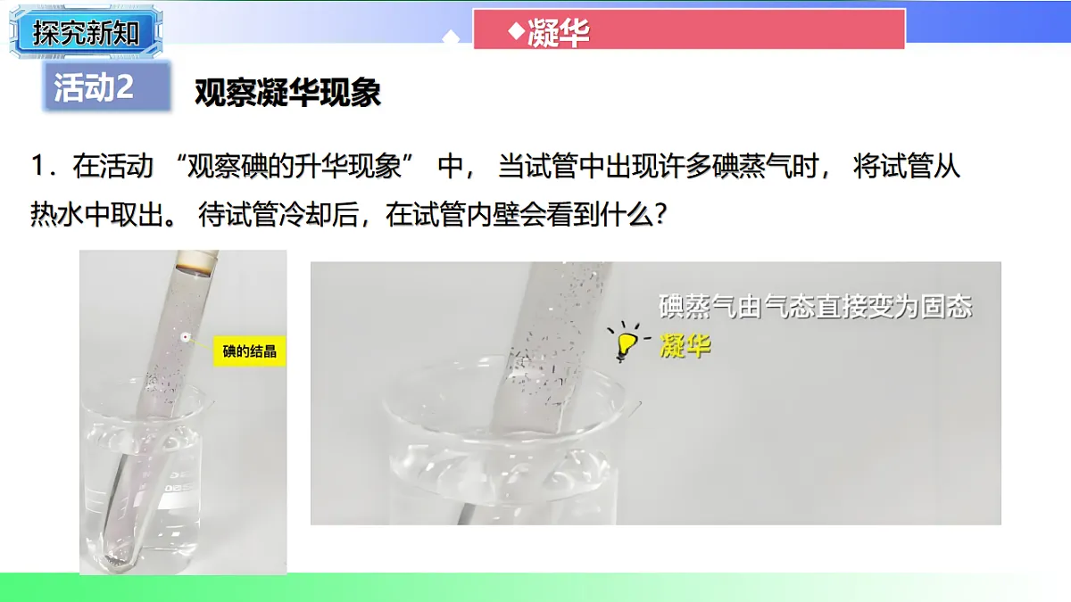 17769333第7页