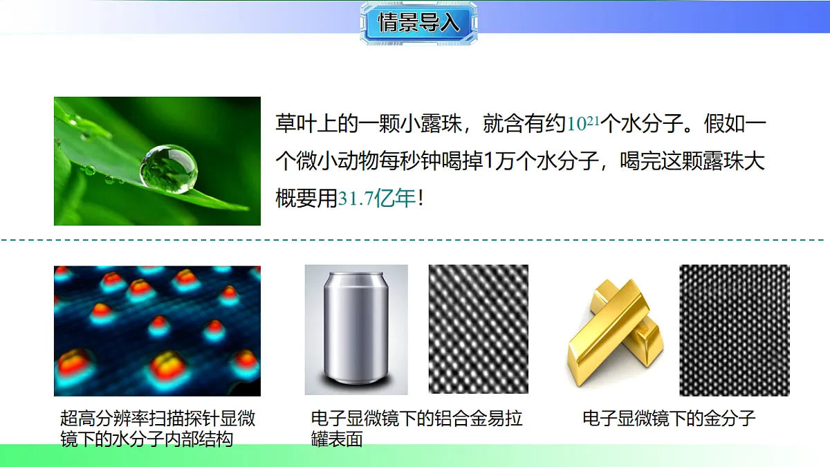 17769366第4页
