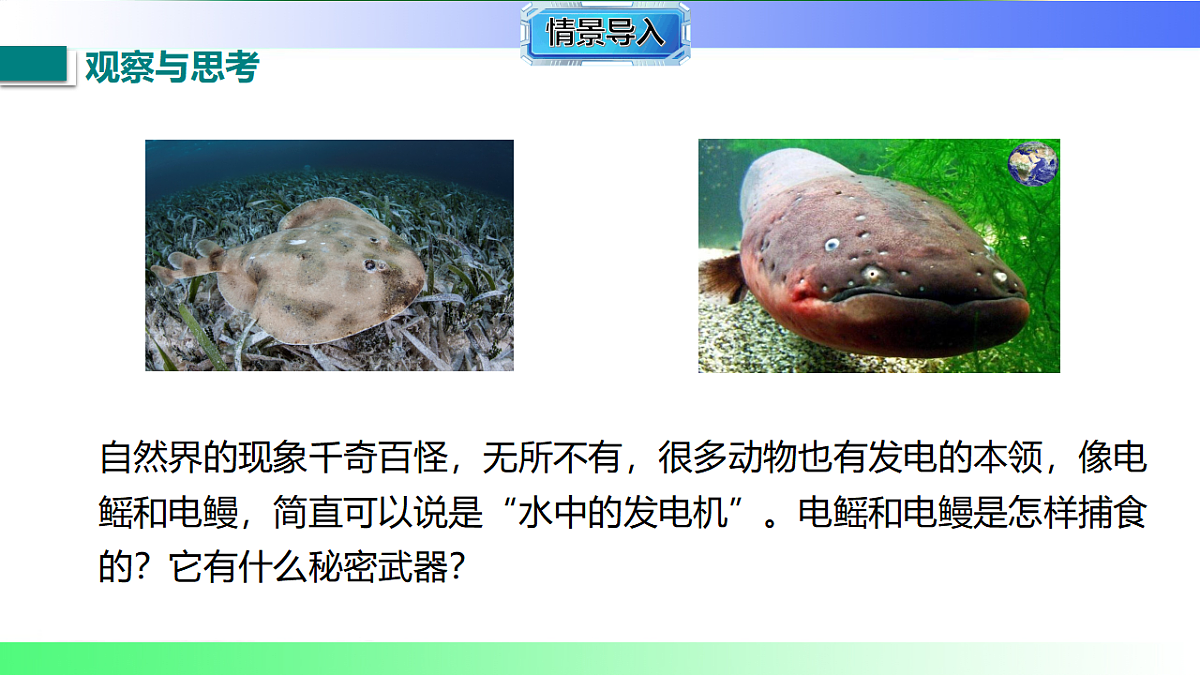 17769378第3页