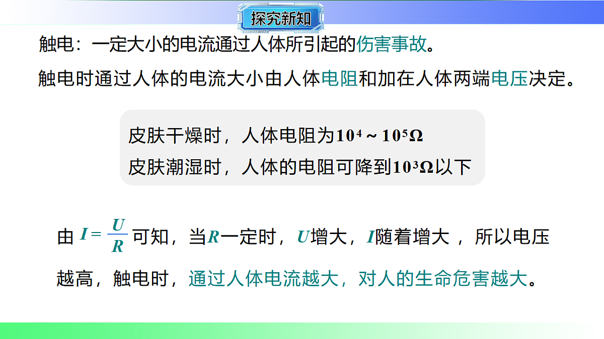 17769391第5页