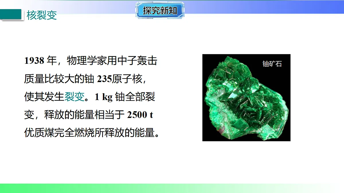 17769403第5页