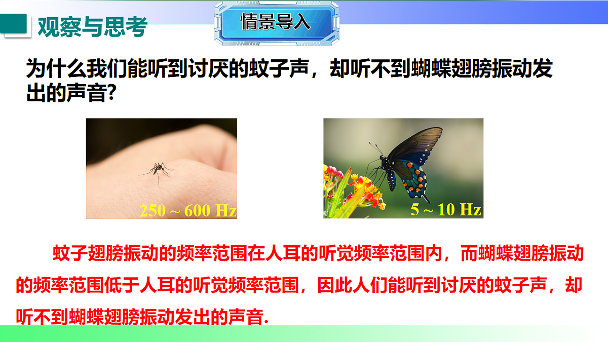 17769410第3页