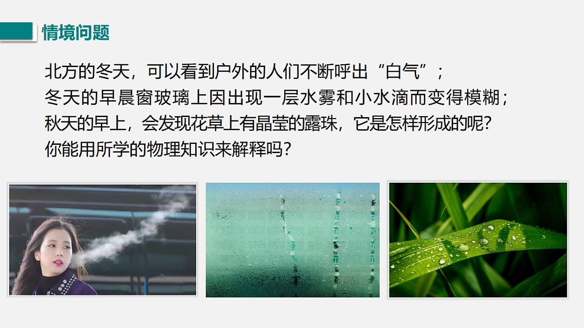 17769533第3页