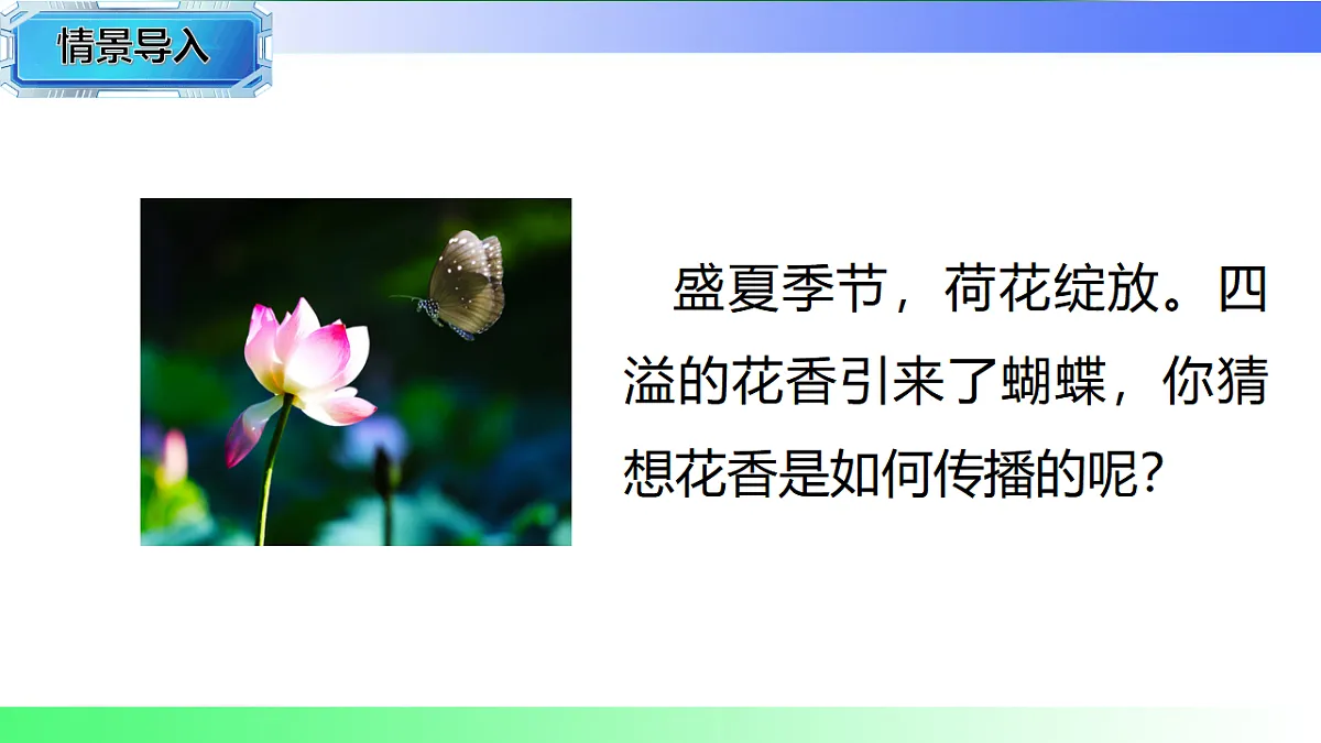 17769671第3页