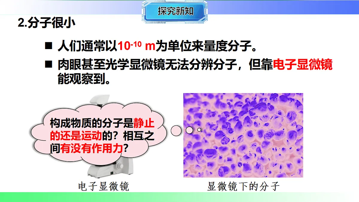 17769671第8页
