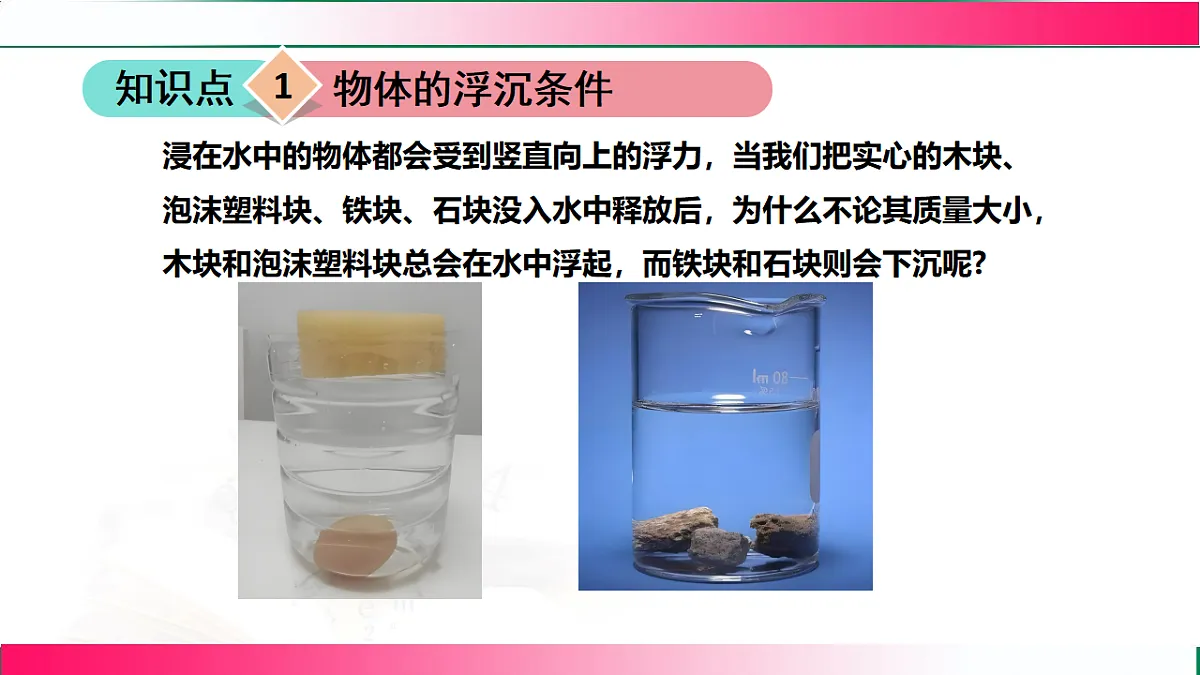 17769726第7页