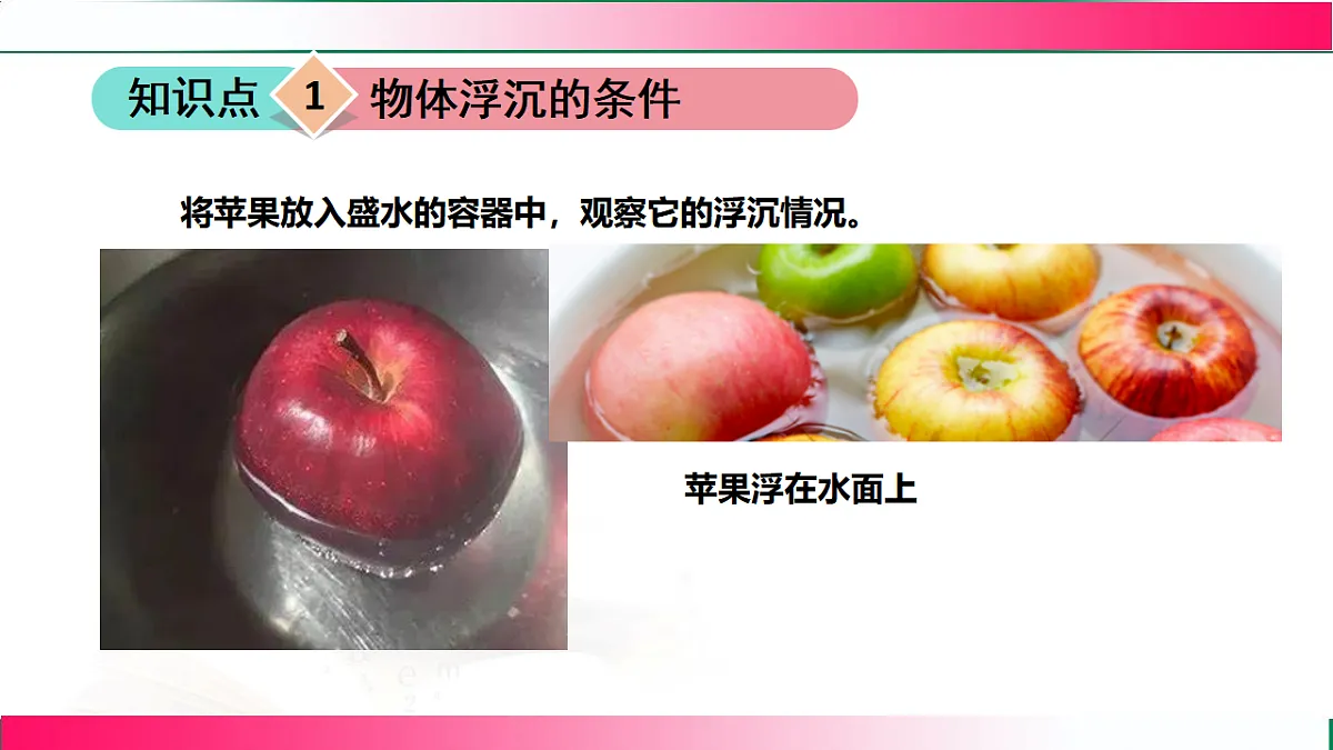 17769726第8页
