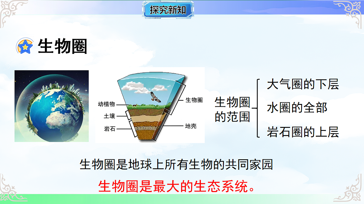 17769731第4页