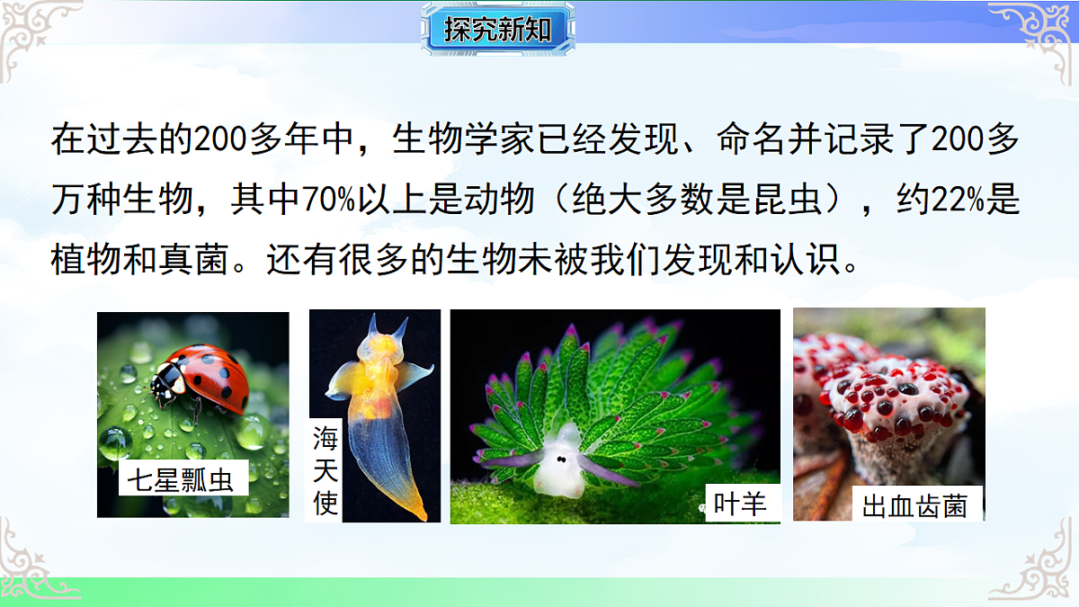 17769731第6页