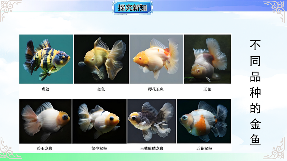 17769731第8页