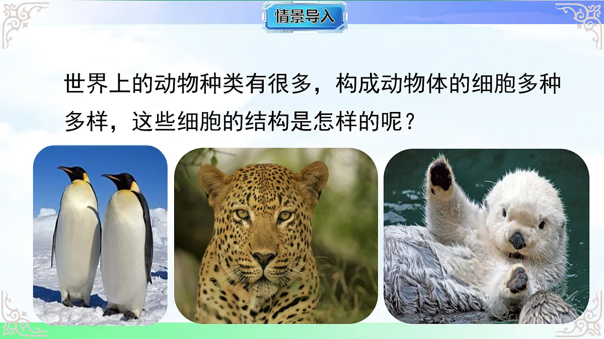 17769735第2页