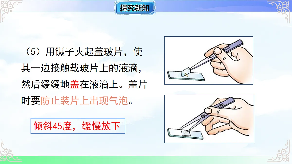 17769735第7页