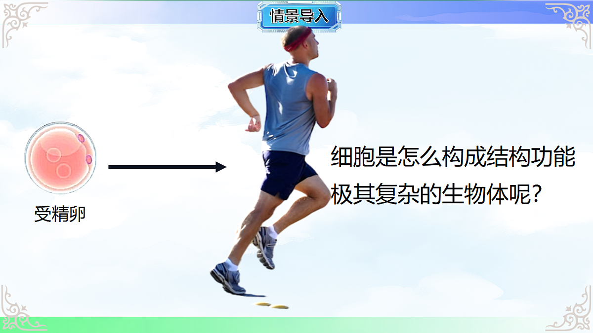 17769738第2页