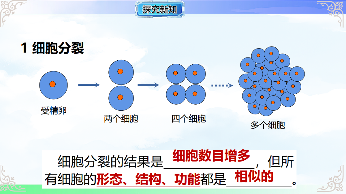 17769738第3页