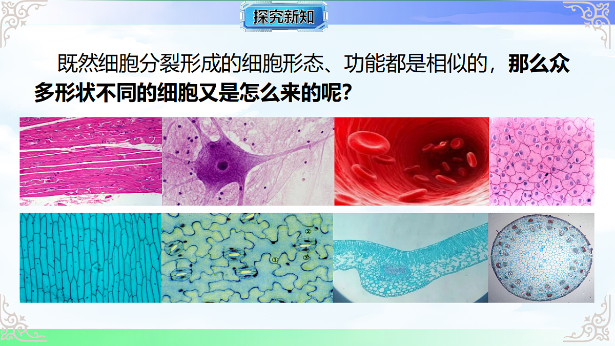 17769738第4页