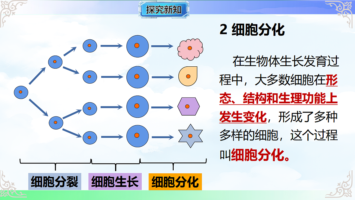 17769738第5页