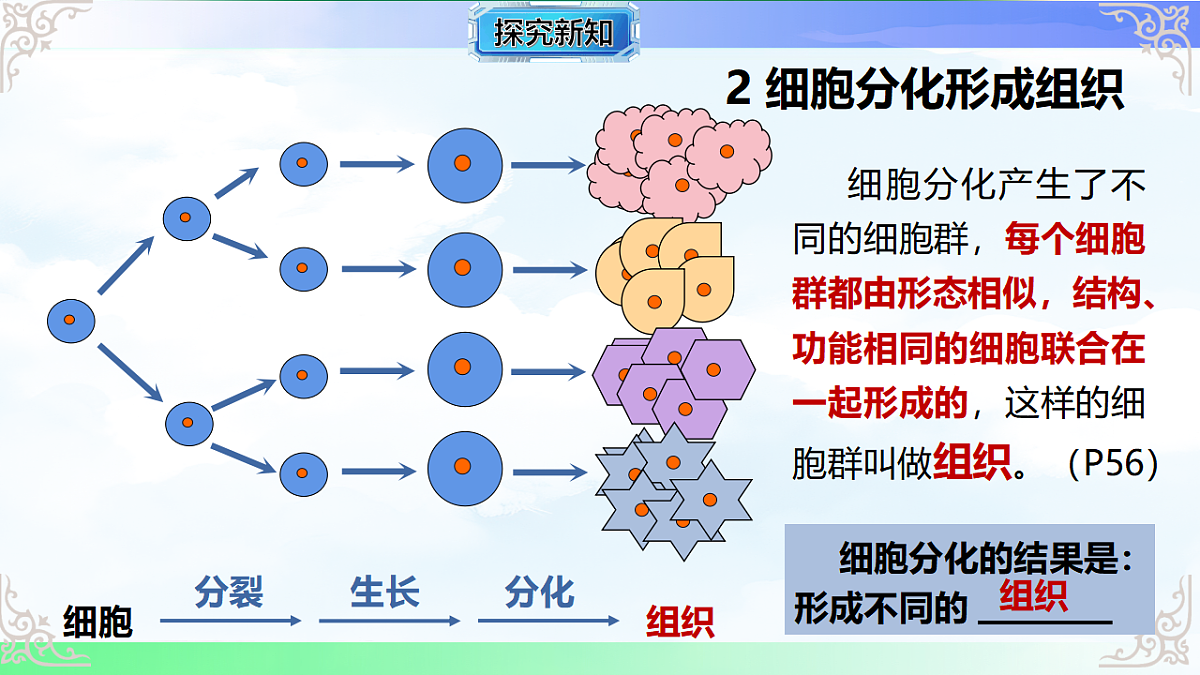 17769738第6页