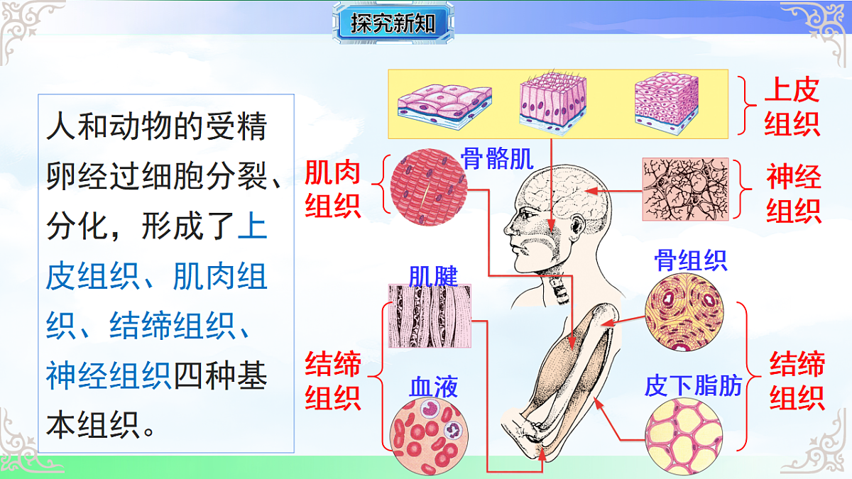 17769738第8页