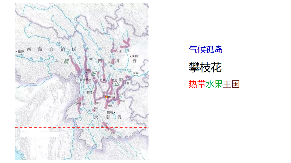 17770143第3页