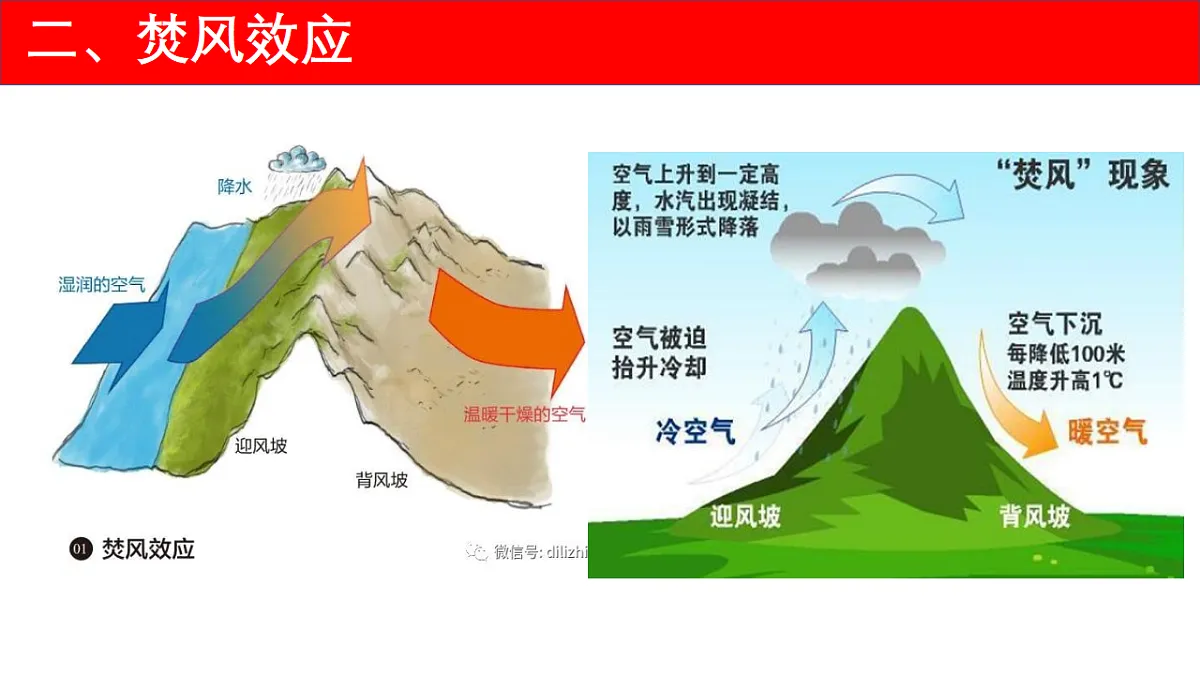 17770143第7页