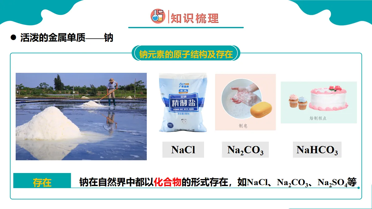 17770251第3页