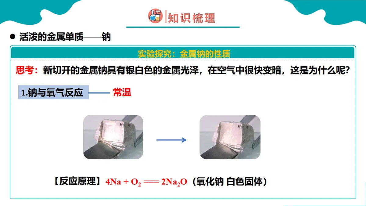 17770251第5页