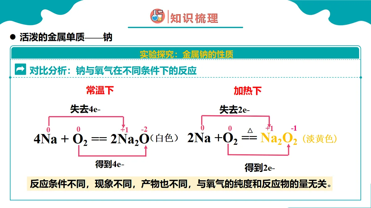 17770251第7页