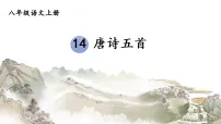 初中语文人教部编版（2024）八年级上册钱塘湖春行课文配套ppt课件
