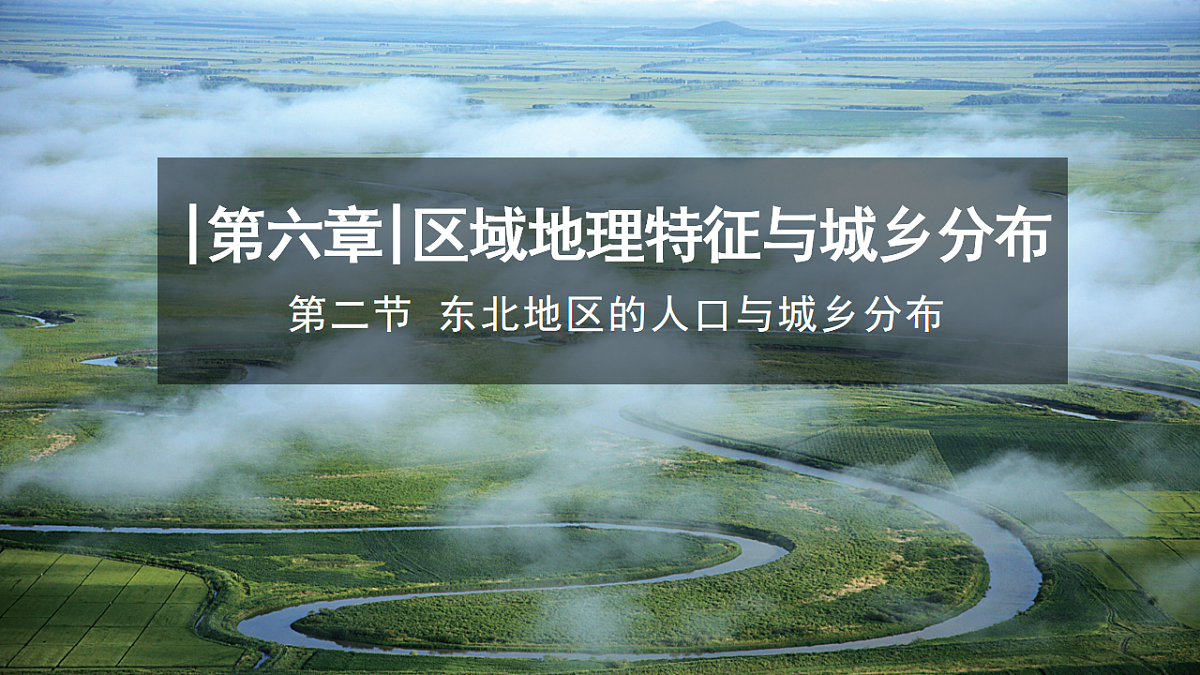 17772033第1页