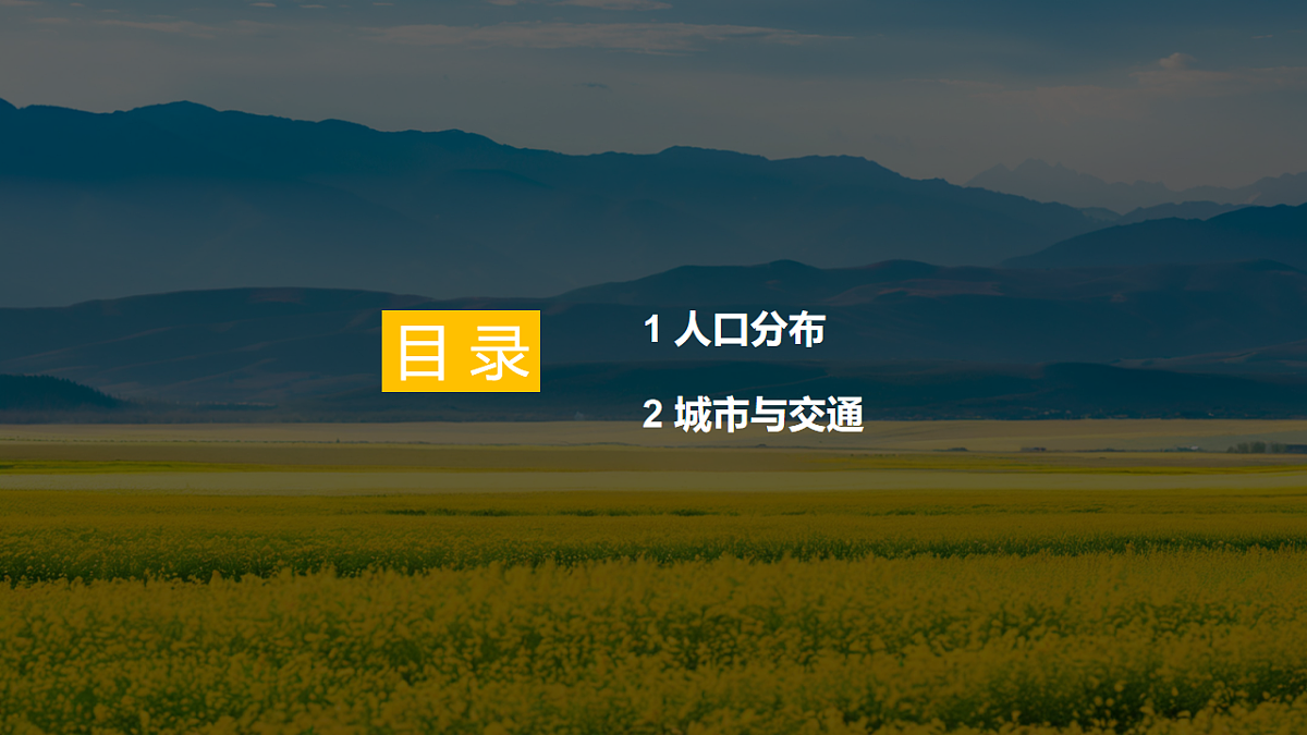 17772033第3页