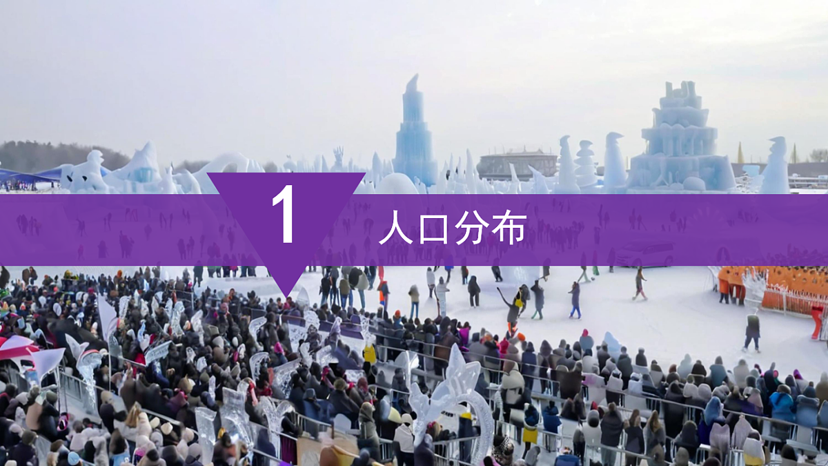 17772033第8页