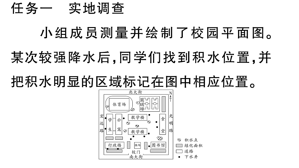 17772957第3页