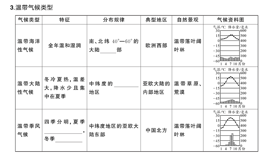 17772968第7页