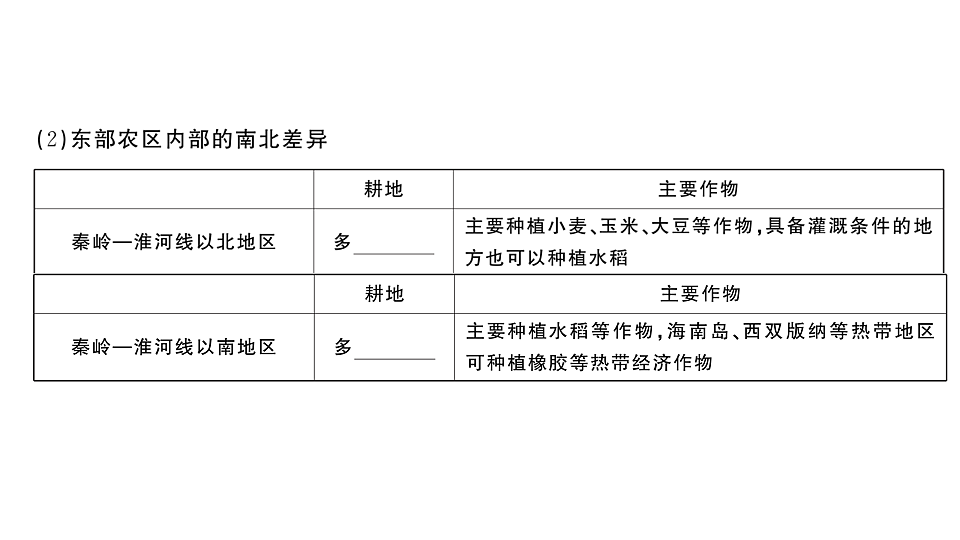 17772993第5页