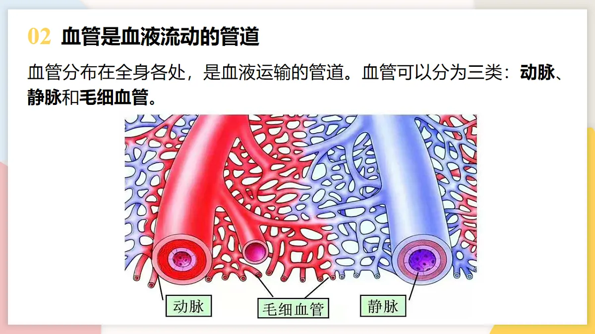 17773191第4页