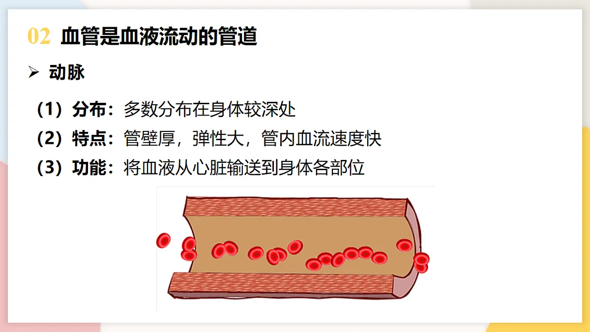17773191第5页