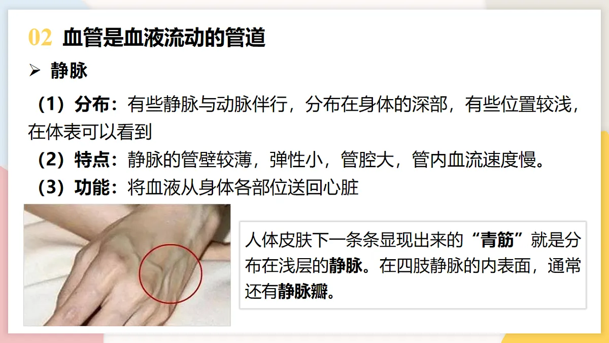 17773191第6页
