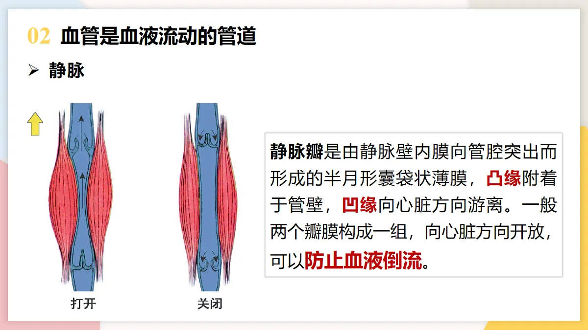 17773191第7页
